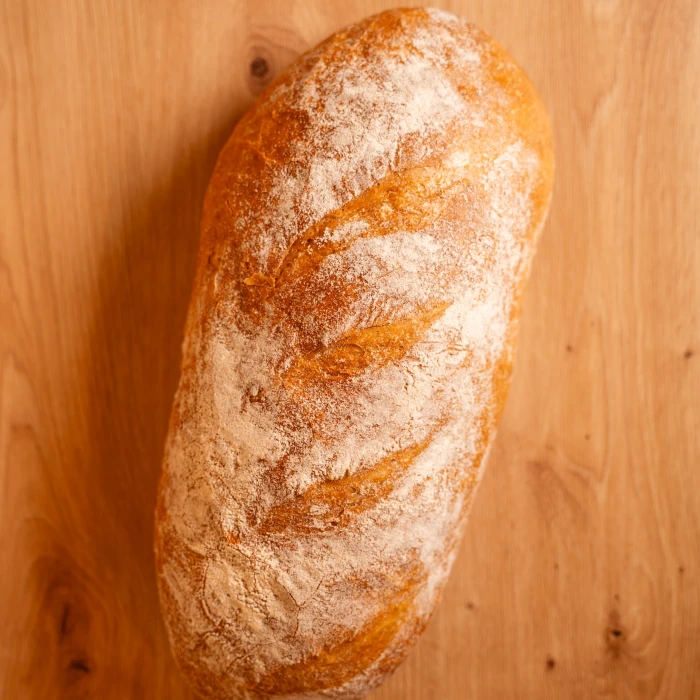 DSC_227320260304 (1)