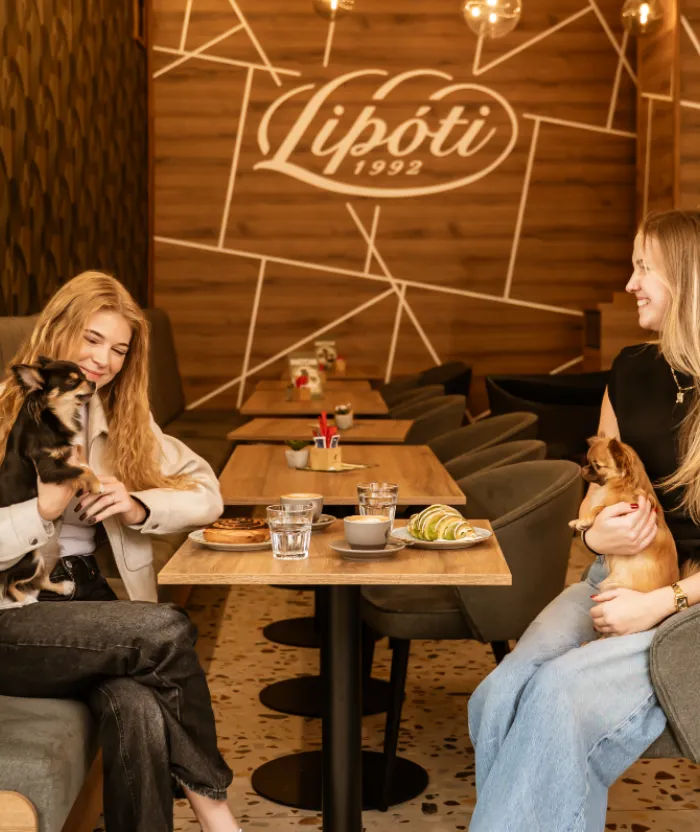 2004 — Válaszút és nagy döntés